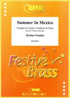 Summer In Mexico Download
