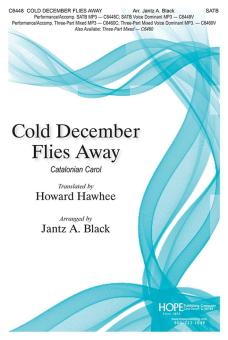 Cold December Flies Away 
