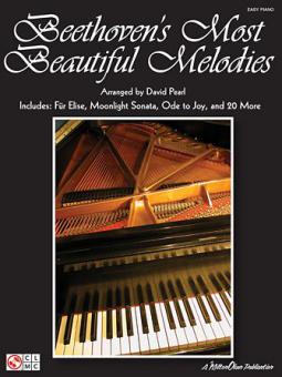 Piano Sonata No. 19, 1st Movement 