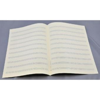 Notenpapier Bach-Format hoch (24x32,5) 10 Systeme 