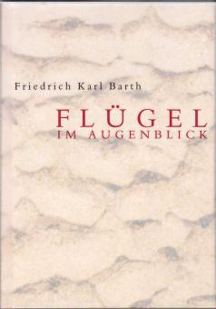 Flügel im Augenblick 