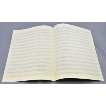 Notenpapier Bach-Format hoch (24x32,5) 14 Systeme 