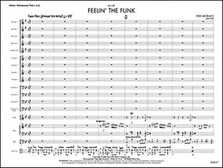 Feelin' the Funk 