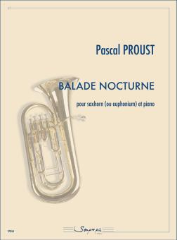 Balade nocturne 