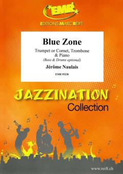 Blue Zone Standard