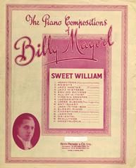 Sweet William 