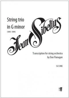 Trio d'archi in sol minore 