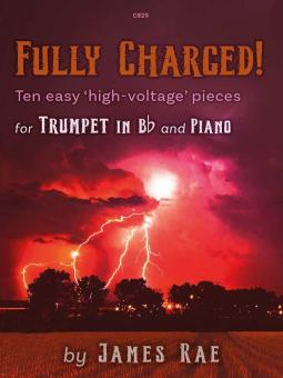 Fully Charged! Standard