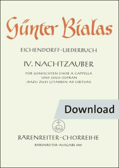 Nachtzauber 