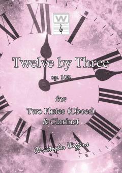 12 By 3 Download