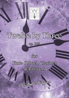 12 By 3 Download
