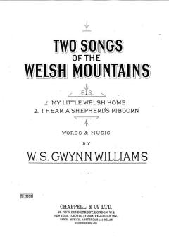 My Little Welsh Home 