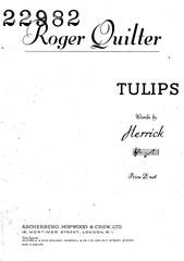 Tulips 