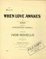 When Love Awakes 