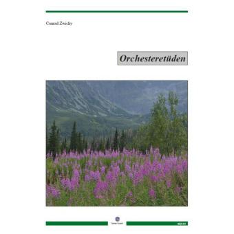 Orchesteretüden 