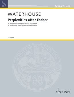Perplexities after Escher Standard