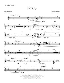 I Will Fly (Full Orchestration) 