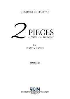 2 pezzi Standard