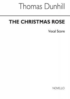 Christmas Rose 