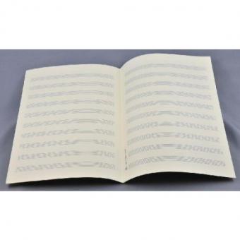 Kopistenpapier Din A4 hoch (21 x 29,7) 10 Systeme, weiter Abstand 