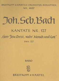 Herr Jesu Christ, wahr' Mensch und Gott 