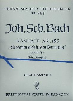 Sie werden euch in den Bann tun 