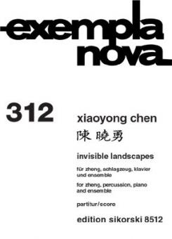 Invisible Landscapes 