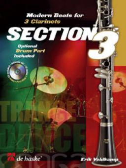 Section 3 