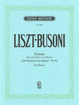 Fantasie über 2 Motive 