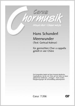 Meerwunder Standard