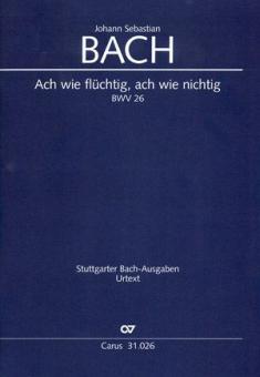 Ach wie flüchtig, ach wie nichtig 
