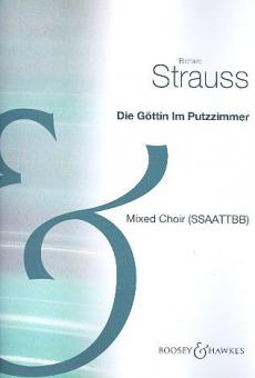 Die Göttin im Putzzimmer 