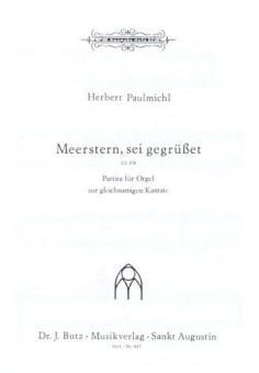 Meerstern 