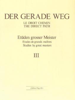 Gerade Weg Vol. 3 