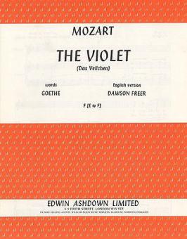 The Violet 