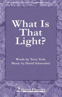 What Is That Light? 