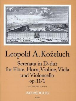 Serenata in re maggiore op. 11/1 