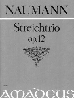 Trio in re maggiore op. 12 