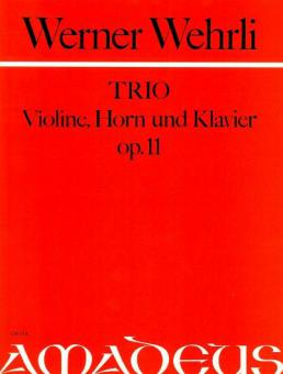 Trio op. 11 in re minore 