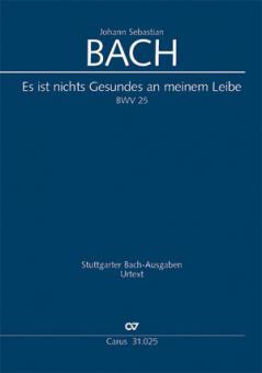 Es ist nichts Gesundes an meinem Leibe 