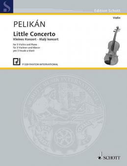 Concerto piccolo Standard