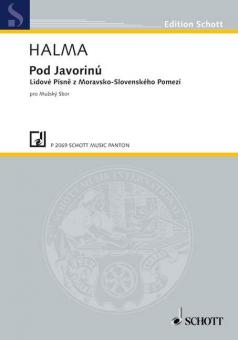 Pod Javorinú Standard