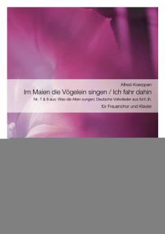 Ich fahr dahin 