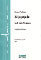 Až já pojedu 