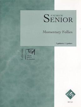 Momentary Follies 