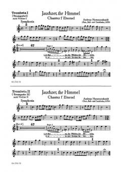 Jauchzet, ihr Himmel 