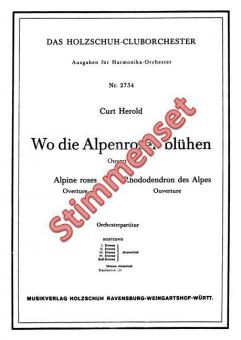Wo die Alpenrosen blühen 