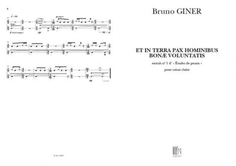 Etude de Peaux Nr. 1 in Terra 