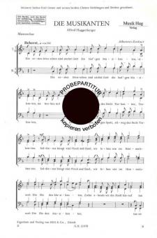 Musikanten 