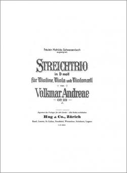 Trio d-moll op. 29 